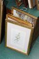 Lot 101 Image