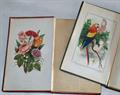 Lot 20 Image