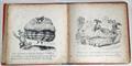 Lot 23 Image