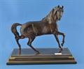 Lot 1 Image