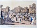 Lot 73 Image