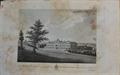 Lot 89 Image