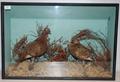 Lot 10 Image