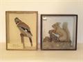 Lot 12 Image
