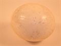 Lot 623 Image