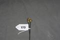 Lot 173 Image
