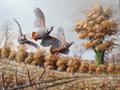 Lot 358 Image