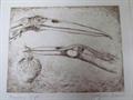 Lot 446 Image