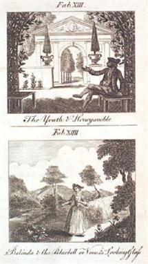 [Wynne (John Huddlestone)]  Fables of Flowers, for the Female Sex,  with Zephyrus and Flora, a Vision, first  edition, 15 eng