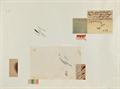 Lot 17 Image