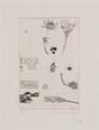 Lot 15 Image