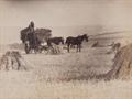 Lot 7 Image
