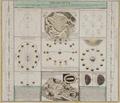 Lot 27 Image