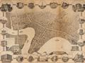 Lot 313 Image