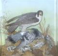 Lot 16 Image