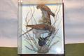 Lot 20 Image