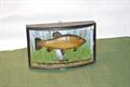Lot 23 Image