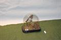 Lot 30 Image