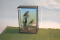 Lot 35 Image