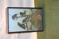 Lot 36 Image