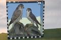 Lot 38 Image