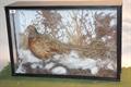 Lot 39 Image
