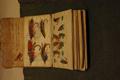 Lot 866 Image