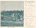 Lot 138 Image