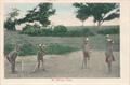 Lot 719 Image