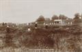 Lot 722 Image