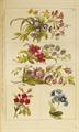 Lot 15 Image