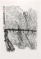 Lot 7 Image