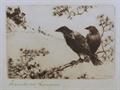 Lot 283 Image