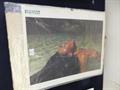 Lot 480 Image