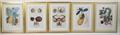 Lot 301 Image