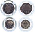 Lot 800 Image
