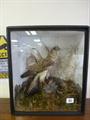 Lot 63 Image