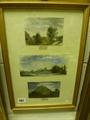 Lot 787 Image