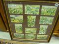 Lot 810 Image