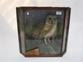 Lot 37 Image