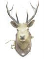 Lot 40 Image