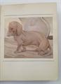Lot 386 Image