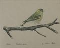 Lot 170 Image