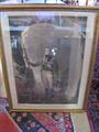 Lot 791 Image