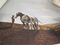 Lot 801 Image