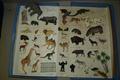 Lot 1036 Image