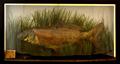 Lot 134 Image