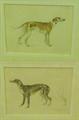 Lot 761 Image