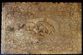 Lot 40 Image
