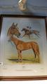 Lot 12 Image